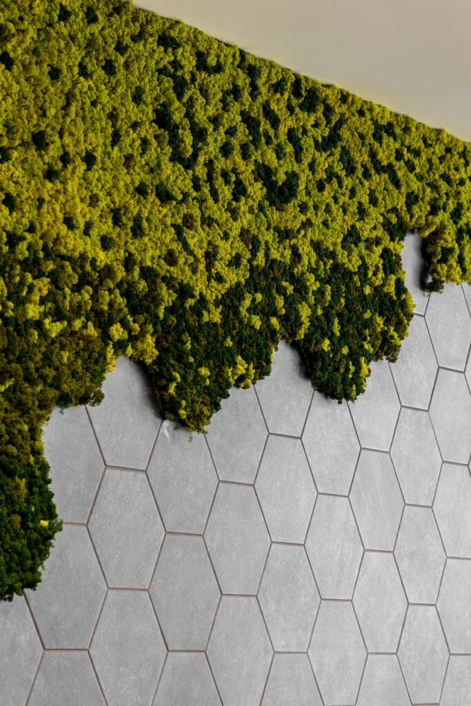 A wall with a hexagonal gray tile pattern partially covered by green moss, creating a contrast between natural and geometric textures.